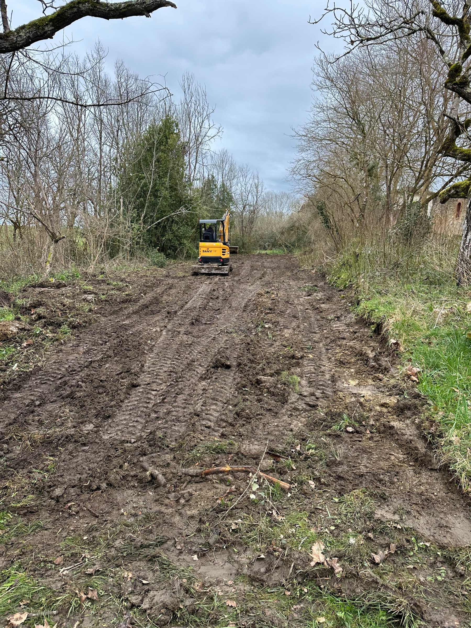 Clearing Fallen Trees — A Hidden Discovery